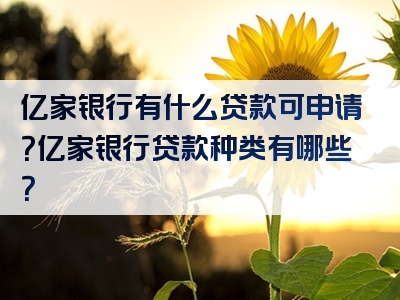 亿家银行有什么贷款可申请？亿家银行贷款种类有哪些？