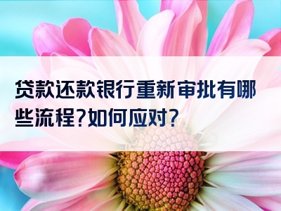 贷款还款银行重新审批有哪些流程？如何应对？