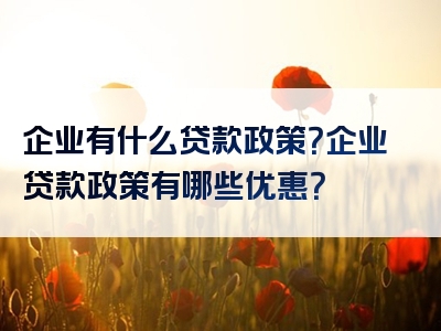 企业有什么贷款政策？企业贷款政策有哪些优惠？