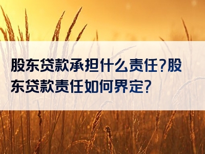 股东贷款承担什么责任？股东贷款责任如何界定？