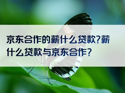 京东合作的薪什么贷款？薪什么贷款与京东合作？