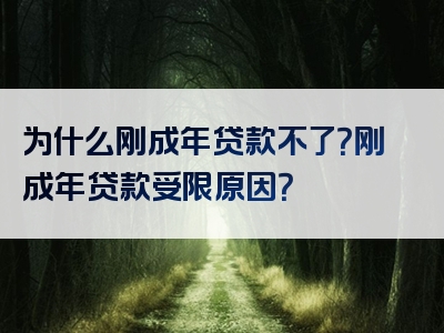 为什么刚成年贷款不了？刚成年贷款受限原因？