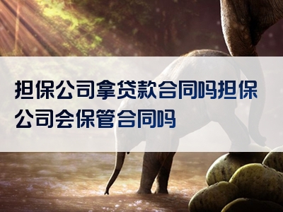 担保公司拿贷款合同吗担保公司会保管合同吗