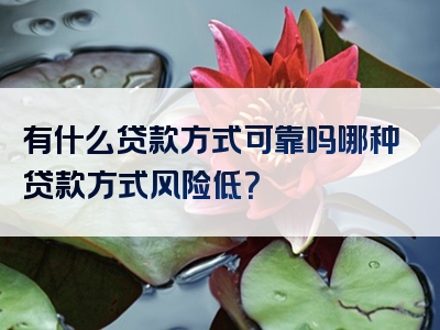 有什么贷款方式可靠吗哪种贷款方式风险低？