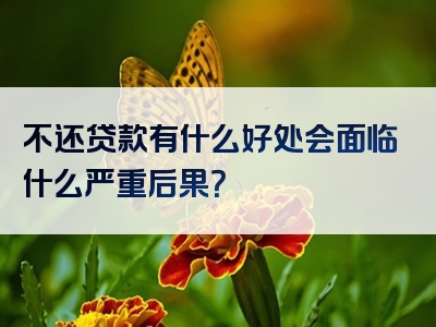 不还贷款有什么好处会面临什么严重后果？