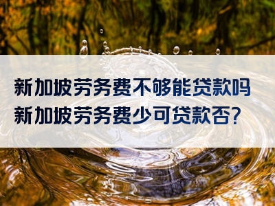 新加坡劳务费不够能贷款吗新加坡劳务费少可贷款否？