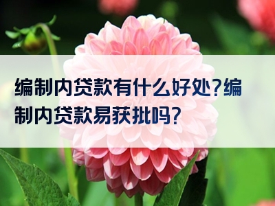 编制内贷款有什么好处？编制内贷款易获批吗？