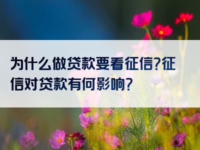 为什么做贷款要看征信？征信对贷款有何影响？