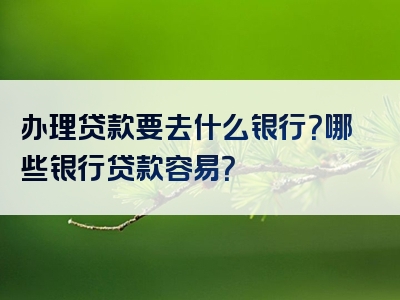 办理贷款要去什么银行？哪些银行贷款容易？