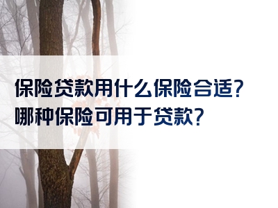 保险贷款用什么保险合适？哪种保险可用于贷款？