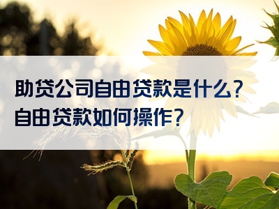 助贷公司自由贷款是什么？自由贷款如何操作？