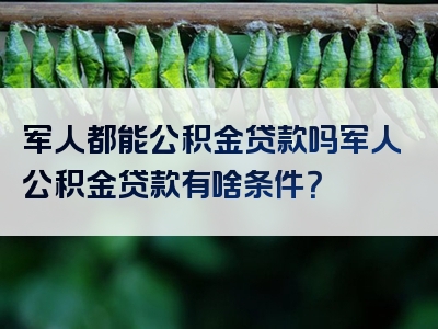 军人都能公积金贷款吗军人公积金贷款有啥条件？