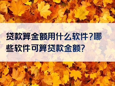 贷款算金额用什么软件？哪些软件可算贷款金额？