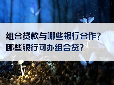 组合贷款与哪些银行合作？哪些银行可办组合贷？