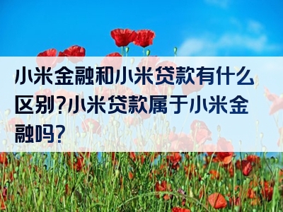 小米金融和小米贷款有什么区别？小米贷款属于小米金融吗？