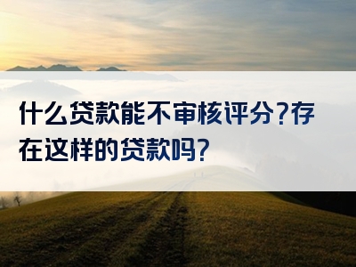 什么贷款能不审核评分？存在这样的贷款吗？