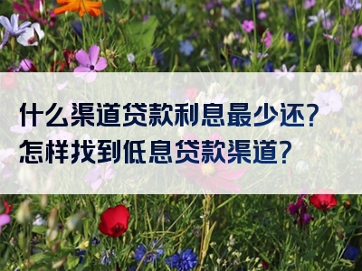 什么渠道贷款利息最少还？怎样找到低息贷款渠道？