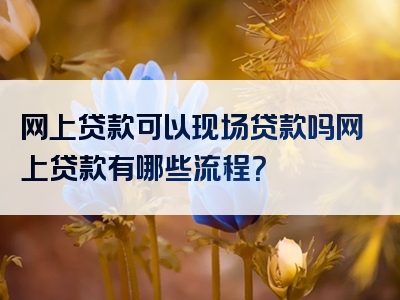 网上贷款可以现场贷款吗网上贷款有哪些流程？