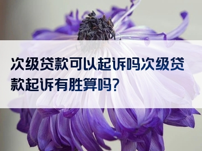 次级贷款可以起诉吗次级贷款起诉有胜算吗？