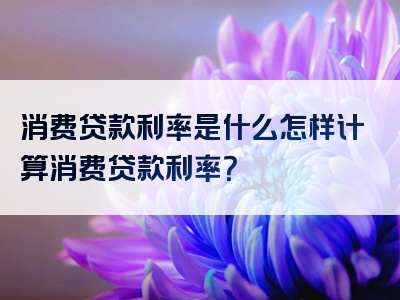 消费贷款利率是什么怎样计算消费贷款利率？