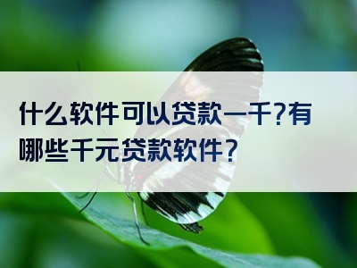 什么软件可以贷款一千？有哪些千元贷款软件？