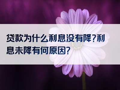 贷款为什么利息没有降？利息未降有何原因？