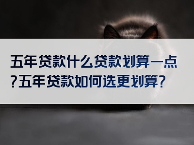 五年贷款什么贷款划算一点？五年贷款如何选更划算？