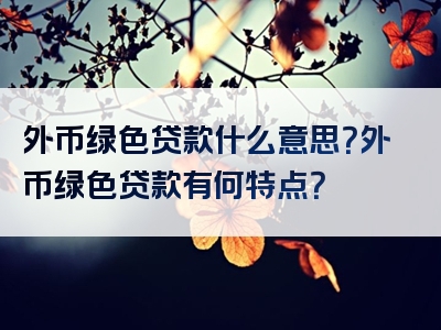 外币绿色贷款什么意思？外币绿色贷款有何特点？