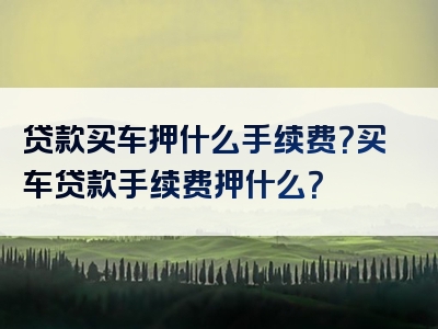 贷款买车押什么手续费？买车贷款手续费押什么？