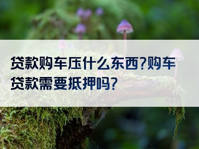 贷款购车压什么东西？购车贷款需要抵押吗？