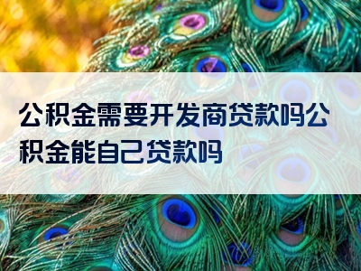 公积金需要开发商贷款吗公积金能自己贷款吗