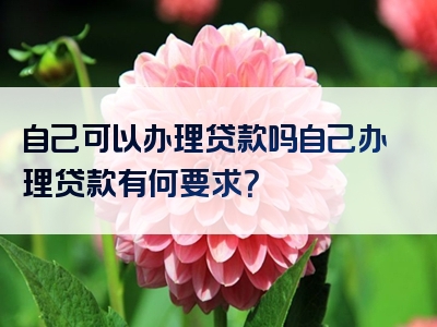 自己可以办理贷款吗自己办理贷款有何要求？