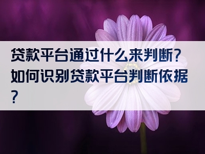 贷款平台通过什么来判断？如何识别贷款平台判断依据？