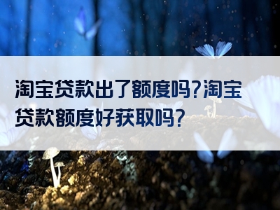 淘宝贷款出了额度吗？淘宝贷款额度好获取吗？