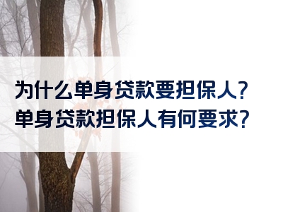 为什么单身贷款要担保人？单身贷款担保人有何要求？