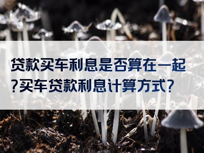 贷款买车利息是否算在一起？买车贷款利息计算方式？