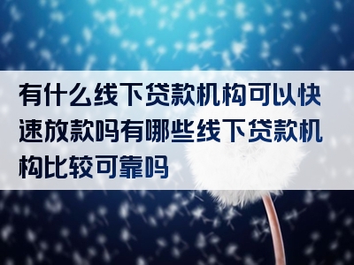 有什么线下贷款机构可以快速放款吗有哪些线下贷款机构比较可靠吗