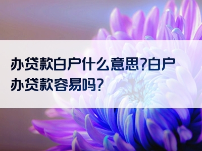 办贷款白户什么意思？白户办贷款容易吗？