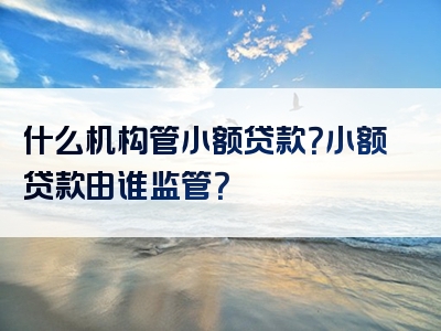 什么机构管小额贷款？小额贷款由谁监管？