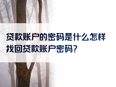 贷款账户的密码是什么怎样找回贷款账户密码？