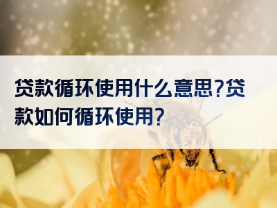 贷款循环使用什么意思？贷款如何循环使用？