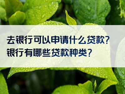 去银行可以申请什么贷款？银行有哪些贷款种类？