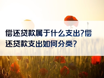 偿还贷款属于什么支出？偿还贷款支出如何分类？