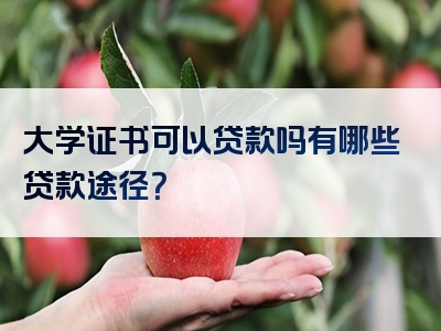 大学证书可以贷款吗有哪些贷款途径？