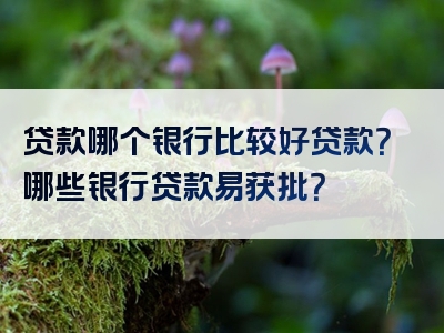 贷款哪个银行比较好贷款？哪些银行贷款易获批？