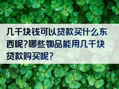 几千块钱可以贷款买什么东西呢？哪些物品能用几千块贷款购买呢？