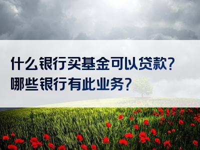 什么银行买基金可以贷款？哪些银行有此业务？