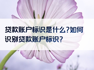 贷款账户标识是什么？如何识别贷款账户标识？