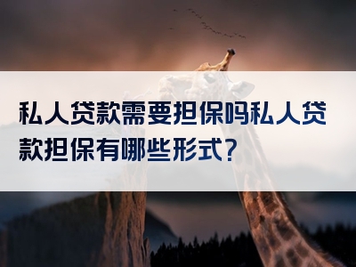 私人贷款需要担保吗私人贷款担保有哪些形式？