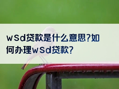 wsd贷款是什么意思？如何办理wsd贷款？